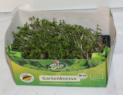 Lepidium sativum, Gartenkresse