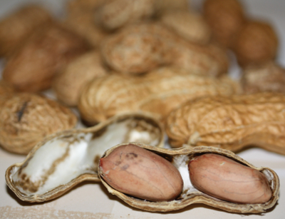 Arachis hypogaea, Erdnuss, Früchte